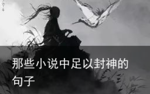 那些小说中足以封神的句子