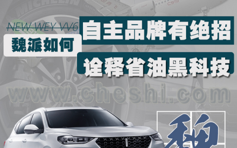 比737安全还省油的国产飞机C919首飞成功，自主品牌有绝招？
