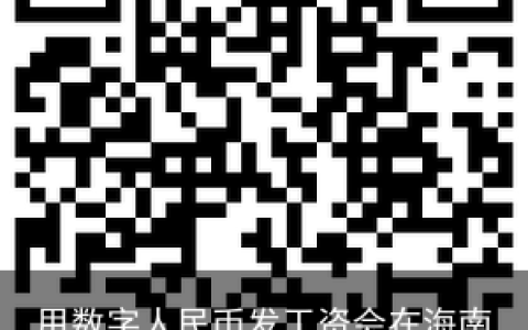 用数字人民币发工资会在海南普及吗？
