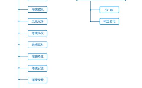 作为央企的海康威视为什么发展的这么好？大家一起来分析一下原因。