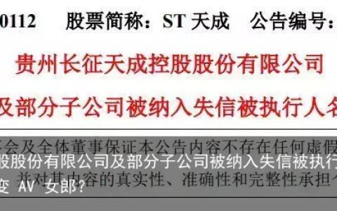 贵州长征天成控股股份有限公司及部分子公司被纳入失信被执行人名单