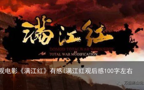 观电影《满江红》有感(满江红观后感100字左右)
