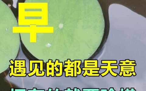 周日早安，温馨唯美祝福语短句图片带字-周日早安精美带字图片