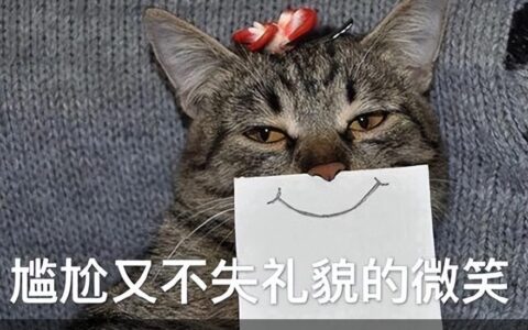 穷人养猫，劝你“避开”这5种猫，真的太烧钱了！-养猫那些方面花钱