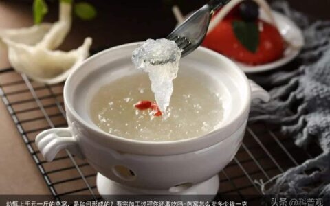 动辄上千元一斤的燕窝，是如何形成的？看完加工过程你还敢吃吗-燕窝怎么卖多少钱一克