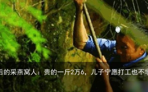 雅砻江最后的采燕窝人：贵的一斤2万6，儿子宁愿打工也不学-雅砻江鱼类