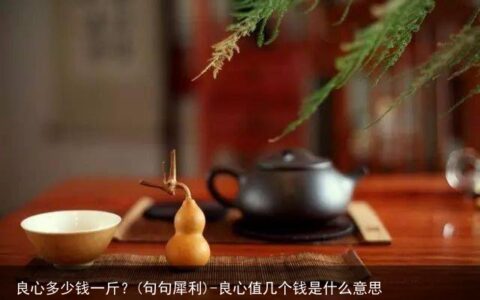 良心多少钱一斤？(句句犀利)-良心值几个钱是什么意思