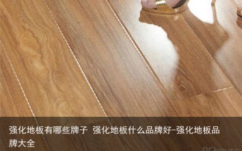 强化地板有哪些牌子 强化地板什么品牌好-强化地板品牌大全