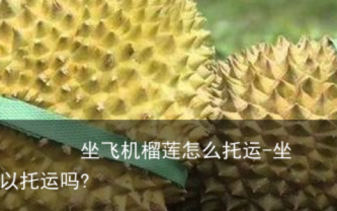 坐飞机榴莲怎么托运-坐飞机榴莲可以托运吗?