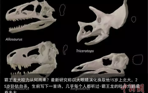 霸王龙大咬力从何而来？最新研究称以大眼睛演化换取