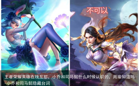 王者荣耀英雄在线互怼，小乔和司马懿什么时候认识的，周瑜知道吗-小乔和司马懿隐藏台词