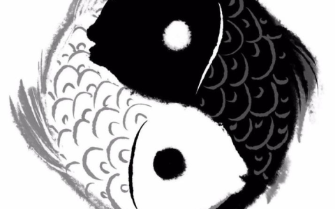 保持人体的“S”型曲线，对我们的意义-s型曲线运动的核心表现是