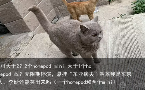 1+1大于2？2个homepod mini 大于1个homepod 么？（一个homepod和两个mini）