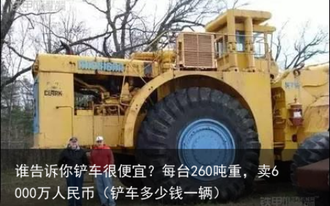 谁告诉你铲车很便宜？每台260吨重，卖6000万人民币（铲车多少钱一辆）