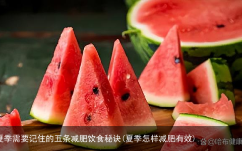 夏季需要记住的五条减肥饮食秘诀(夏季怎样减肥有效)