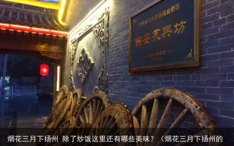 烟花三月下扬州 除了炒饭这里还有哪些美味？（烟花三月下扬州的景点）