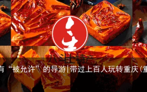 我是一个没有“被允许”的导游|带过上百人玩转重庆(重庆当地导游坑人)