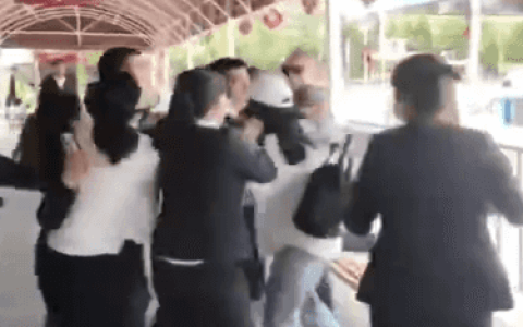 兵马俑景区女讲解员疑遭“黑导游”殴打，重庆游客挺身而出制止打人者(兵马俑美女导游视频)