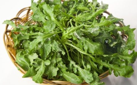 田间一种野菜不寒不热，可以明目清肝降火，有结节的朋友可以多吃(什么野菜清热解毒去火花盆里种的多)