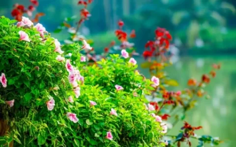 五下18课《威尼斯的小艇》教案设计(部编版威尼斯的小艇教学设计一等奖)