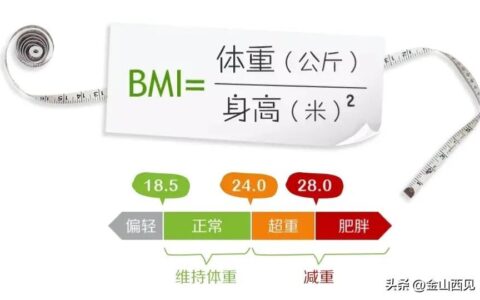 体重指数(BMI)计算方法(体重指数bmi计算方法比方)