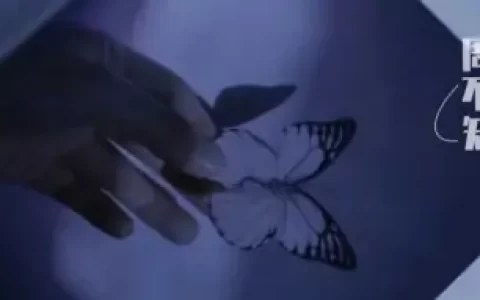 数字媒体艺术专业的日常，数字媒体艺术专业考研就业方向有哪些-数字媒体艺术研究生开设院校
