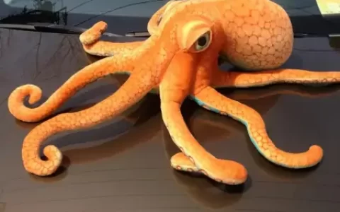 章鱼智商究竟有多高？为何有人认为它不是地球生物？（动物智商排行榜前二十名）