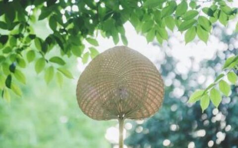 【岭南大医生】天气又湿又热，糖友们小心皮肤病找上门！-原木购销合同百度文档库