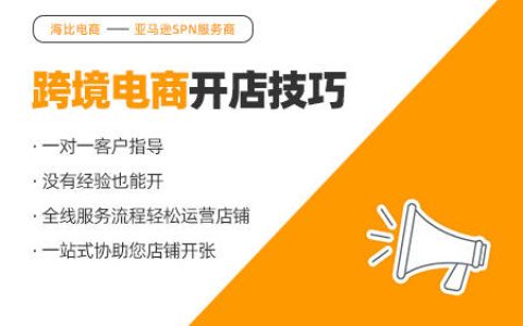 怎么确认自己亚马逊店铺的预算-亚马逊店铺销售额怎么看数据