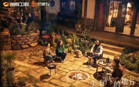《去有风的地方》：轻慢治愈剧，每个打工仔都向往的生活(有来去如风这个成语吗)