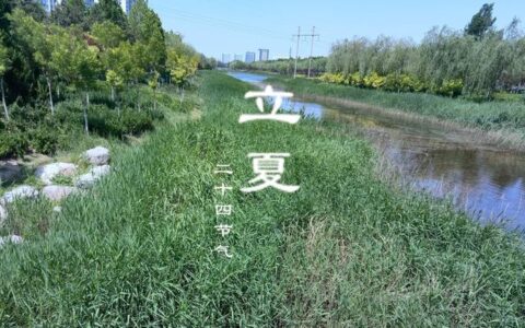 明日立夏，再忙也要记得吃5样，寓意健康又平安，老传统需传承！(明日立冬祝福语大全)