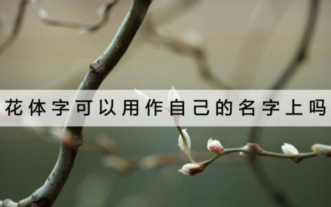 花体字可以用作自己的名字上吗？现在设计立刻帅起来！-花体字用什么笔