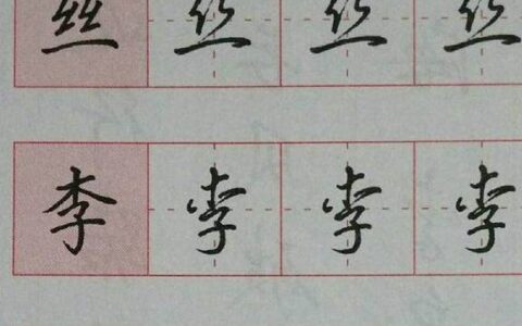 沈鸿根、吴玉生书法经验分享：如何练好硬笔行楷字！