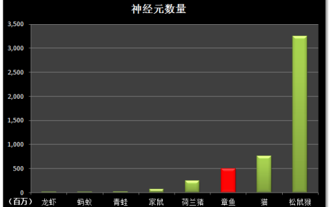 章鱼的智商到底有多高？为什么有人说它们的智商可以统治世界？（章鱼的智商怎么样）