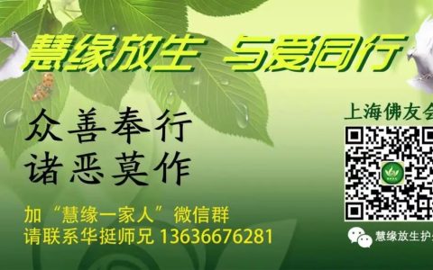 《2023年5月14日母亲节嘉兴一日行意外风险责任承诺书》(6月25日嘉兴)