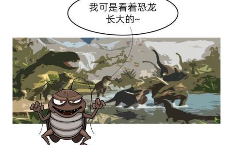 九成人不懂蟑螂“天敌”是什么？学会这1招，蟑螂“消失不见”了-蟑螂的天敌动物是什么动物