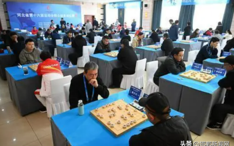 【聚焦河北省第十六届运动会】优异成绩的背后——访市象棋队教练武震、金牌棋手玉向立(河北象棋省冠军是谁)