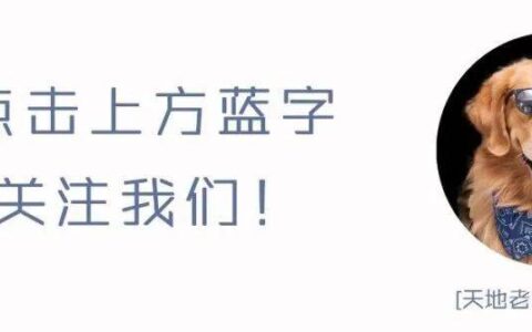 天地设计 – 「事发合集」设计师事发分享，领略设计的细腻之处-天地创造设计部角色名字怎么取