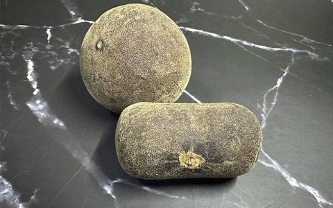 化州橘红价格：20年的化橘红多少钱一斤？（化州橘红最老的牌子是什么）