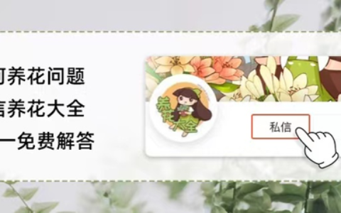 一颗种子泡水里，7天长出小嫩芽，开出碗大的荷花