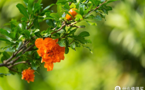 5月6日立夏，老话讲，立夏见三新，夏天没烦恼！具体是指哪三新？-5月23号会下雨吗