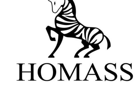 霍玛仕（HOAMSS）鞋子属于什么档次（霍马运动品牌怎么样）