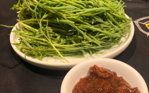 春天我吃过的野菜，苦菜黄菜柳树芽品种不少，看看你认识几个？-苦菜苗能吃吗怎么吃