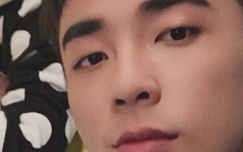 history4一共多少集？
