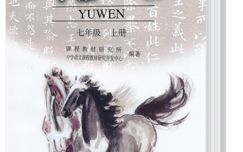 提升初中语文学习的绝佳策略与方法
