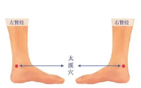 太溪穴：滋阴补肾又能润喉的大补穴