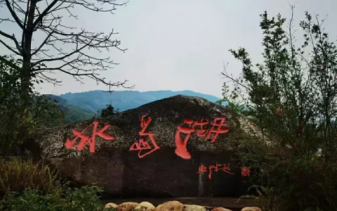 石开古树普洱茶价格指南：2022年冰岛老寨价格-画家石开的画多少钱