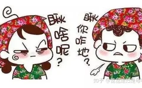 有意思的东北话-有意思的东北话叫什么