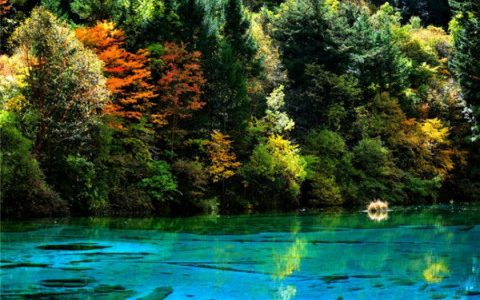求一个人旅行九寨沟攻略？要准备多少钱？带什么物品？时间怎么掌控？途中需要注意哪些事项？越完善详细越好？（九寨沟一日旅游攻略自助游）