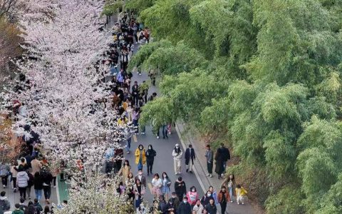 3分钟！我在鸡鸣寺“捡”了40元钱（鸡鸣寺里的东西能买吗）